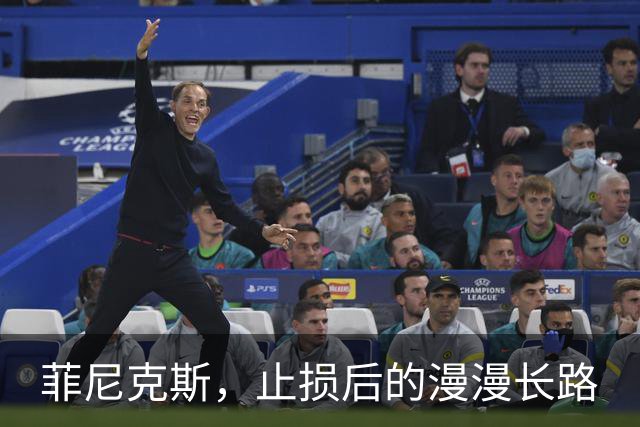 菲尼克斯，止损后的漫漫长路